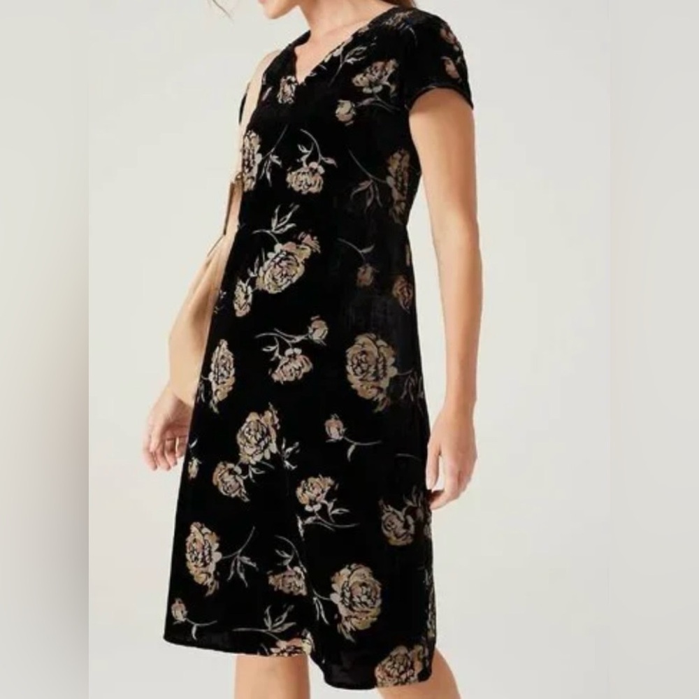 NWOT J. Jill Womens Black Velvet Floral Knee-Length Dress Size Medium